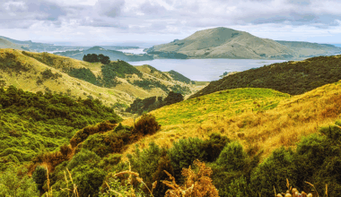 Finding Gold: Exploring New Zealand’s Next Big Discovery