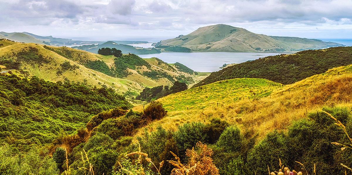 Finding Gold: Exploring New Zealand’s Next Big Discovery