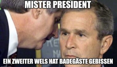 ich🐟iel