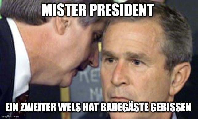 ich🐟iel