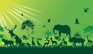 New Zealand Invests $22 Million to Protect Native Wildlife and Boost Eco-Tourism in National Parks