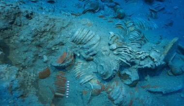 Preserved shipwreck contains 2,000-year-old ceramic treasures