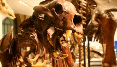 Giant Short-Faced Bears: 3.3-Meter-Tall Pleistocene Predators Were The Largest Ever Bears In North America