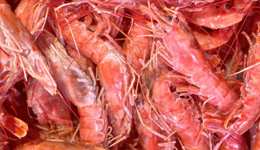 Iceland Seafood International Subsidiary Acquires Two Argentine Freezer Trawlers for $5.8 Million