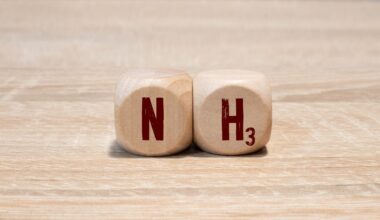 Parties sign for the development of an ammonia terminal in Japan
