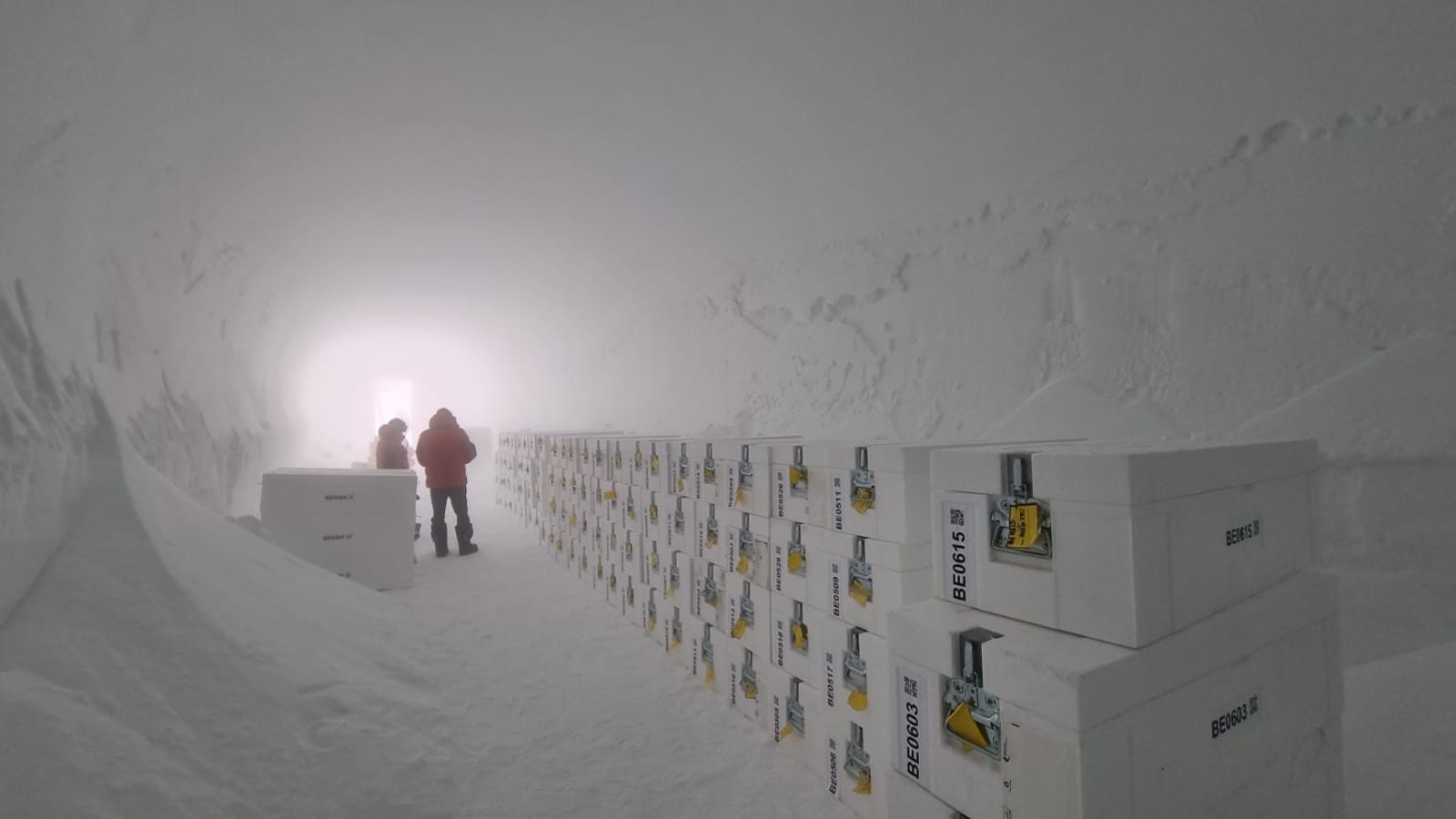 Antarctica's oldest ice arrives in UK for analysis on climate shifts | World News