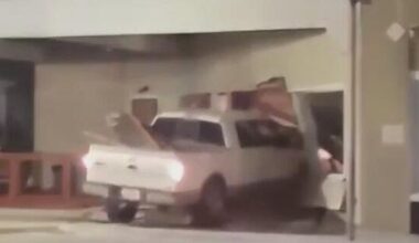 Oak Cliff pet business left picking up the pieces after drunk driver crashes into storefront