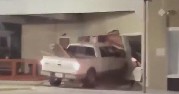 Oak Cliff pet business left picking up the pieces after drunk driver crashes into storefront