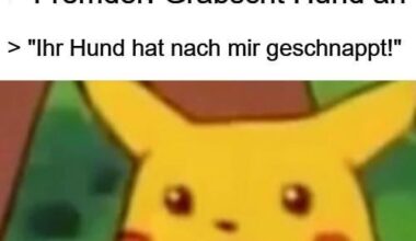 ich🐶iel