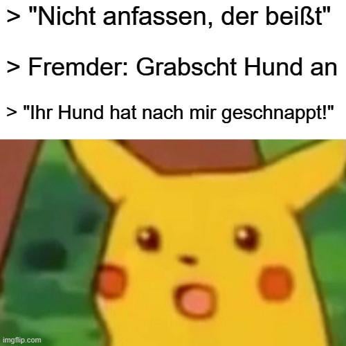 ich🐶iel