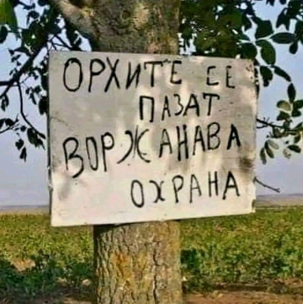 40 лева килото