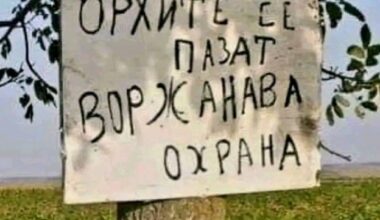 40 лева килото