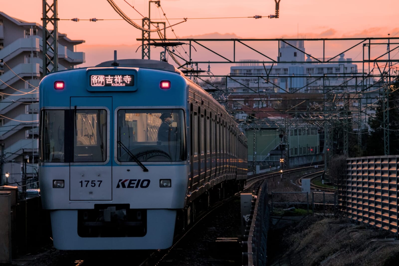 summer in japan