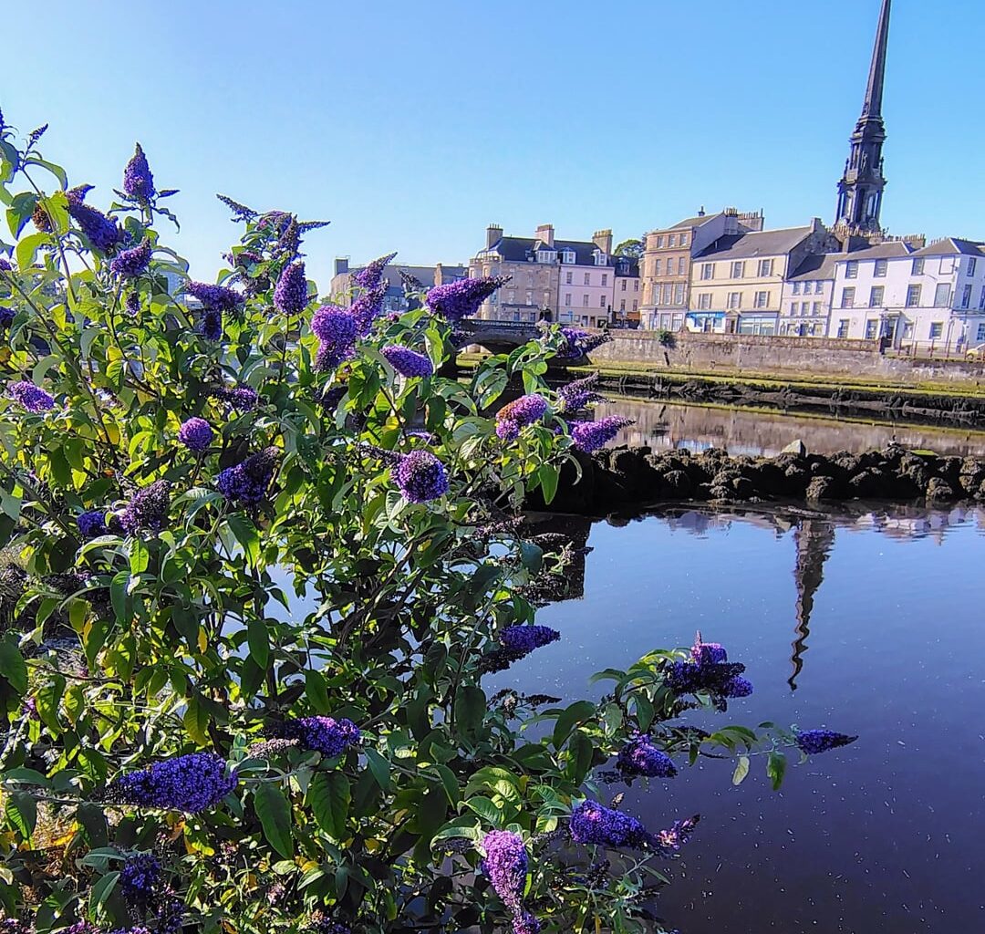 Left early for work to enjoy a coffee while it's still a reasonable 19c in Ayr. Beautiful town when it's empty.