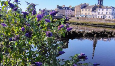 Left early for work to enjoy a coffee while it's still a reasonable 19c in Ayr. Beautiful town when it's empty.