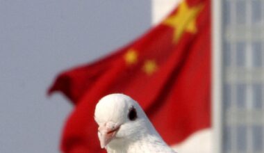 China’s project to mediate global disputes underlines divide between the West and the rest