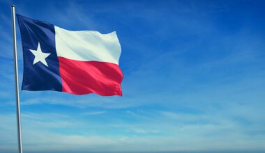 To make government better, DOGE should learn from Texas