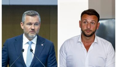 Hlas sa sám udal pre pôžičku od Pellegriniho sestry