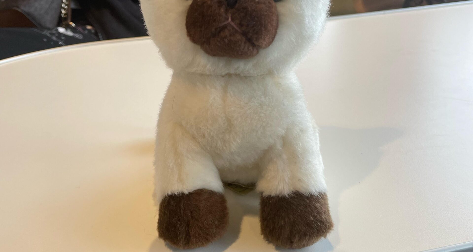 Found cat plush on a ferry!
