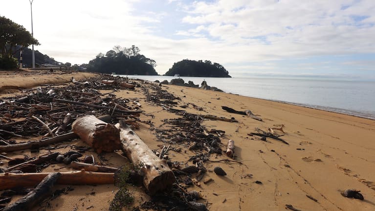 The downgrade is unrelated to recent flooding which left the beach littered with woody debris. Photo: Max Frethey