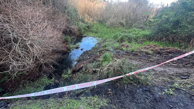 The site where three people lost their lives in a crash in Waiuku