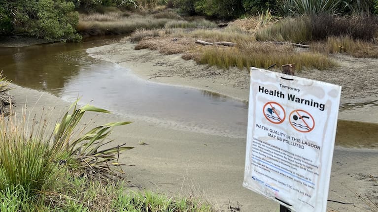 The water quality might be improving at the Stephens Bay Lagoon. Photo: Supplied/Bradley Reichert