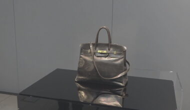 Original Birkin bag sells for $10 million, sets European fashion record