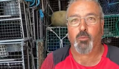 "Trabajo 14 horas al día, no como los políticos"