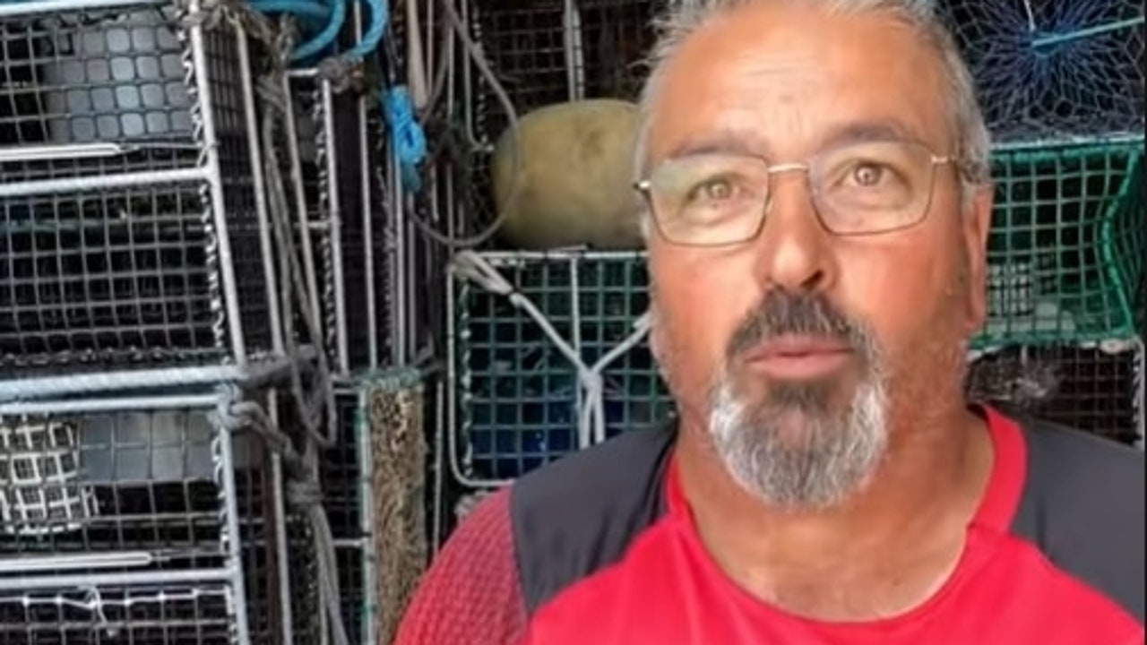"Trabajo 14 horas al día, no como los políticos"