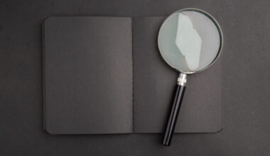Latvia’s Civil Service under scrutiny: civil servant reassignment review launched