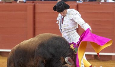 Cuánto dinero cobra un torero en España por corrida en 2025: sueldos por categoría