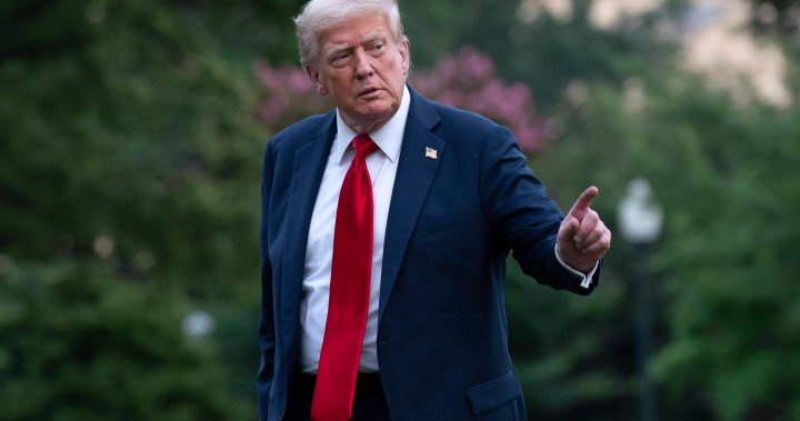 Trump to hit Russia with 100% tariffs if no deal to end Ukraine war in 50 days - National