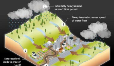 Two dead in New Jersey as soaked US northeast braces for more rain. "We New Jersey, we America, we the globe, are getting dragged by climate," state Governor Phil Murphy said.