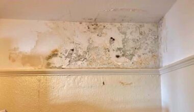 Landlords could be forced to ensure renters don't live in damp and mould