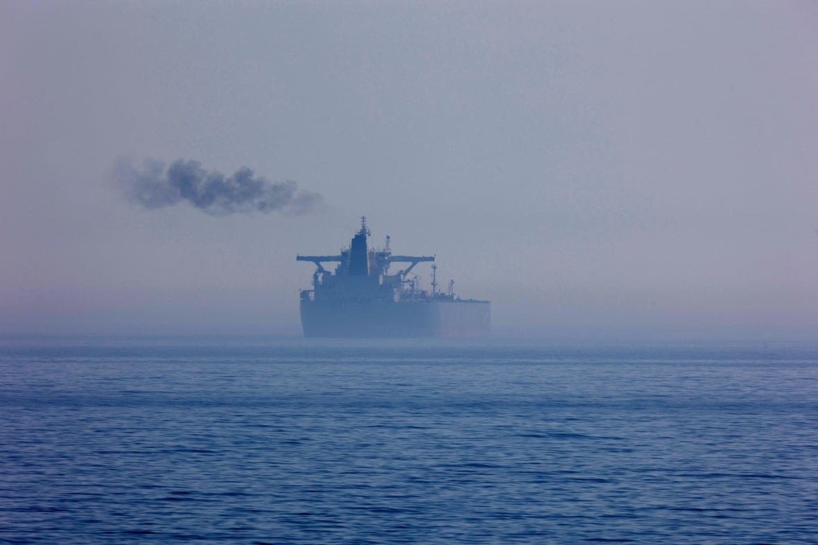 A view shows aPanama-flagged vessel "Eventin" off the shore of Sassnitz, Germany,April 16, 2025. The ship is suspected to be part of Russia's shadow fleet which it has used to skirt sanctions and continue exporting oil.  