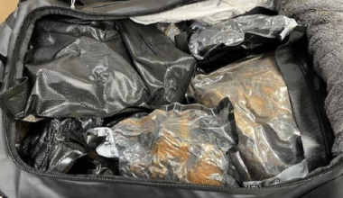 Dozens of arrests over unattended bags of drugs at Auckland airport