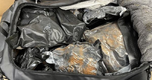 Dozens of arrests over unattended bags of drugs at Auckland airport