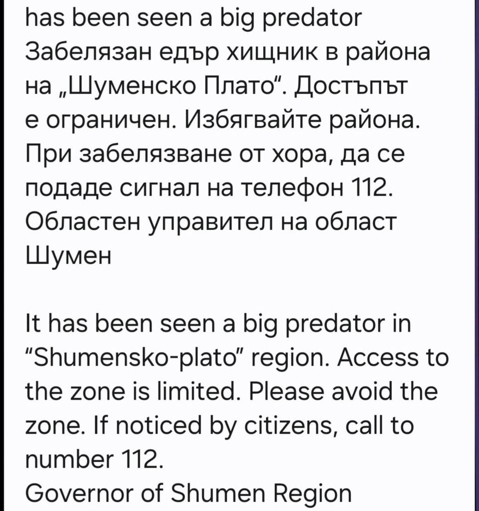BG ALERT
