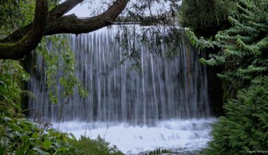 Seen the Japanese Gardens at Newstead Abbey, Nottinghamshire.
