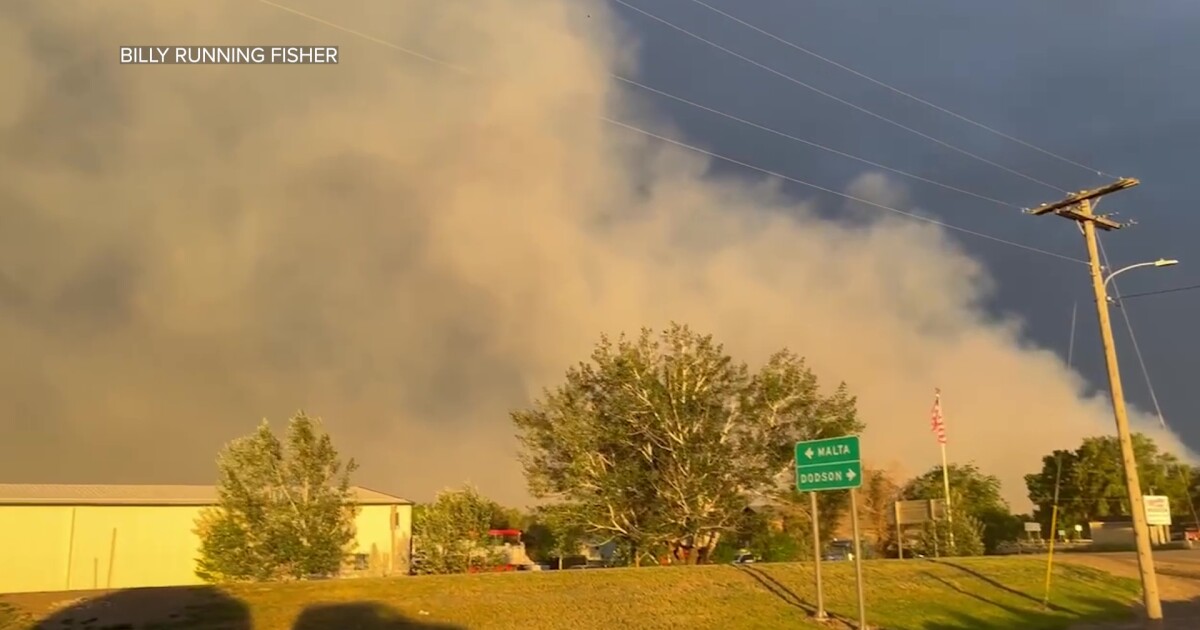 quick multi-agency response prevented disaster