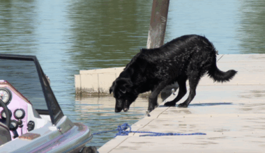 Health advisory issued for Murtaugh Lake disrupts Fourth of July celebrations