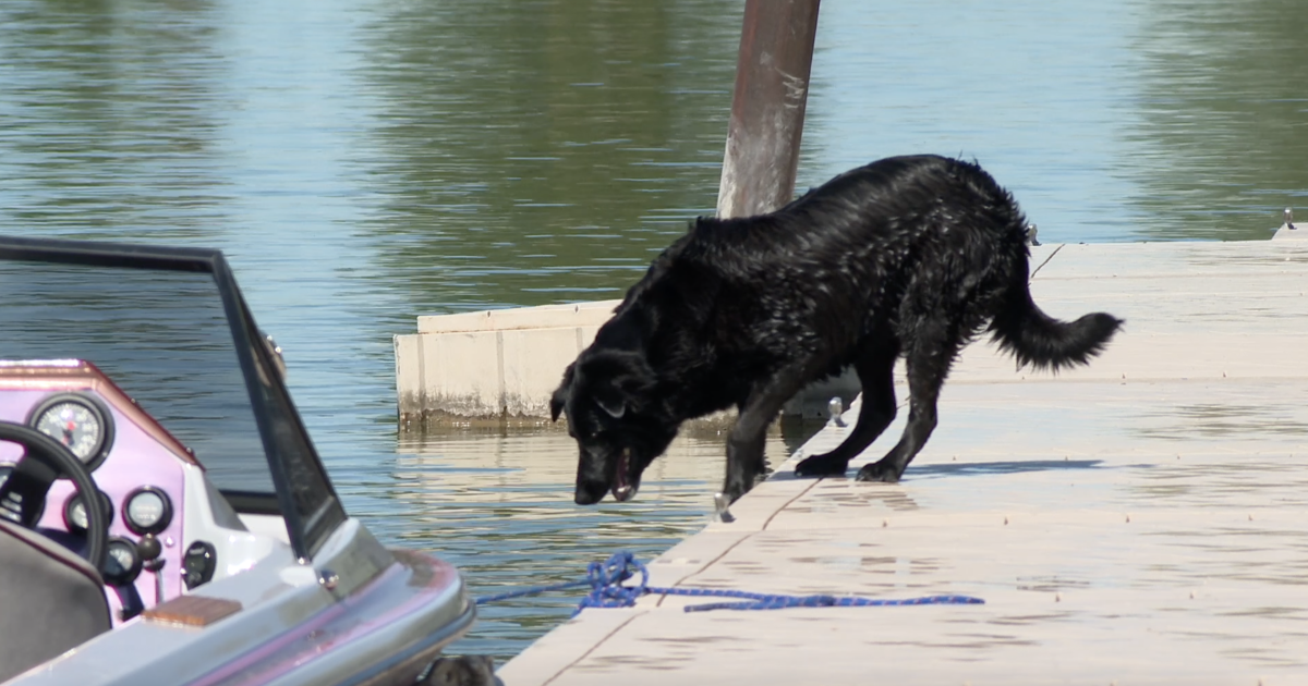 Health advisory issued for Murtaugh Lake disrupts Fourth of July celebrations