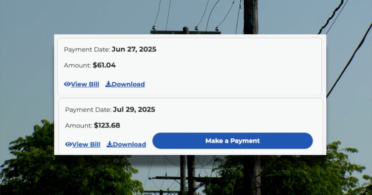 Why is my energy bill so high? Tips from Consumers to cut costs in hotter months