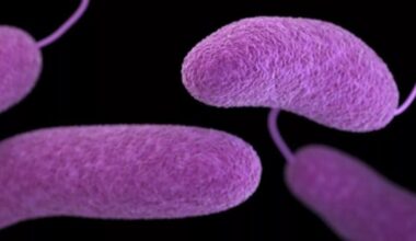 'Flesh-eating' bacteria leads to four deaths in Florida this year, health department reports