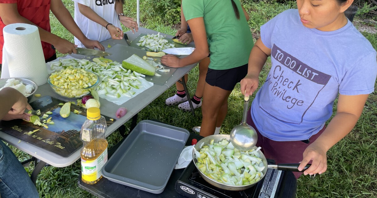 Young refugees start hot meals operation to help feed public housing residents displaced by Chantal