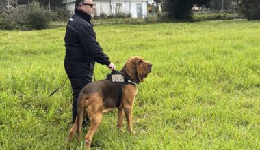 Killing of a police bloodhound outrages Italy