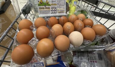 Trump administration sues California over egg prices and blames animal welfare laws