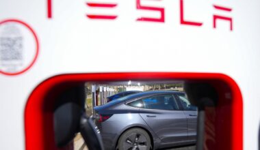 Tesla's profit plunges again as the fallout from Musk's politics continue to hurt company