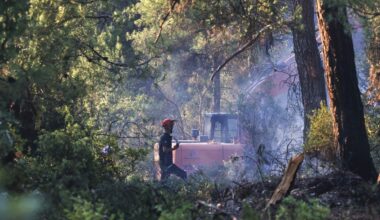 Turkey faces 'very risky week' for wildfires