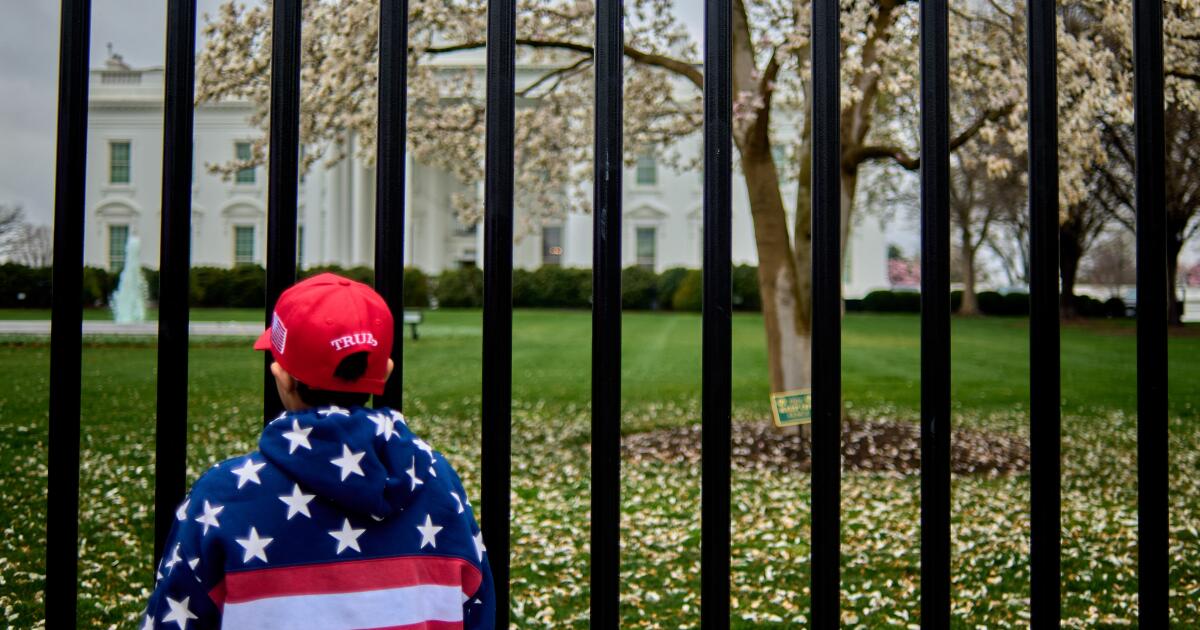 Column: Why MAGA's ideologues can't always get what they want